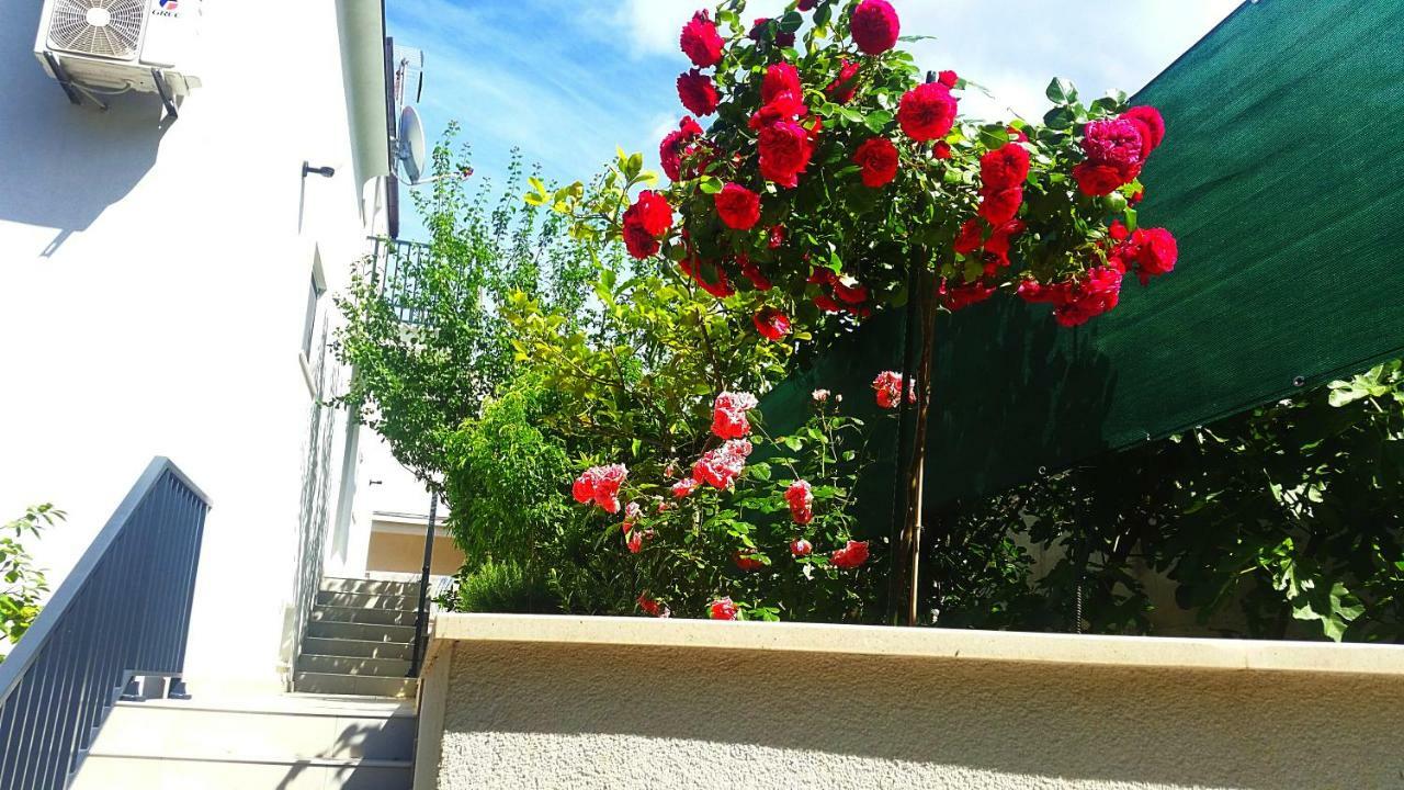 Adriatic Pearl Korcula Apartments Exterior photo